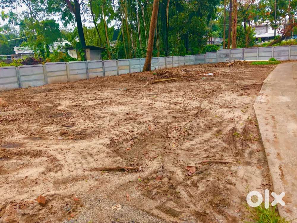 Direct sale Koonammavu kottuvally 3.4 cent