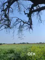 16 acers land for sale