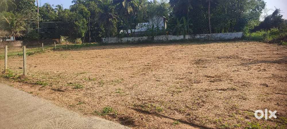 30 cent  (parambu) at chandranagar kuppiyodu