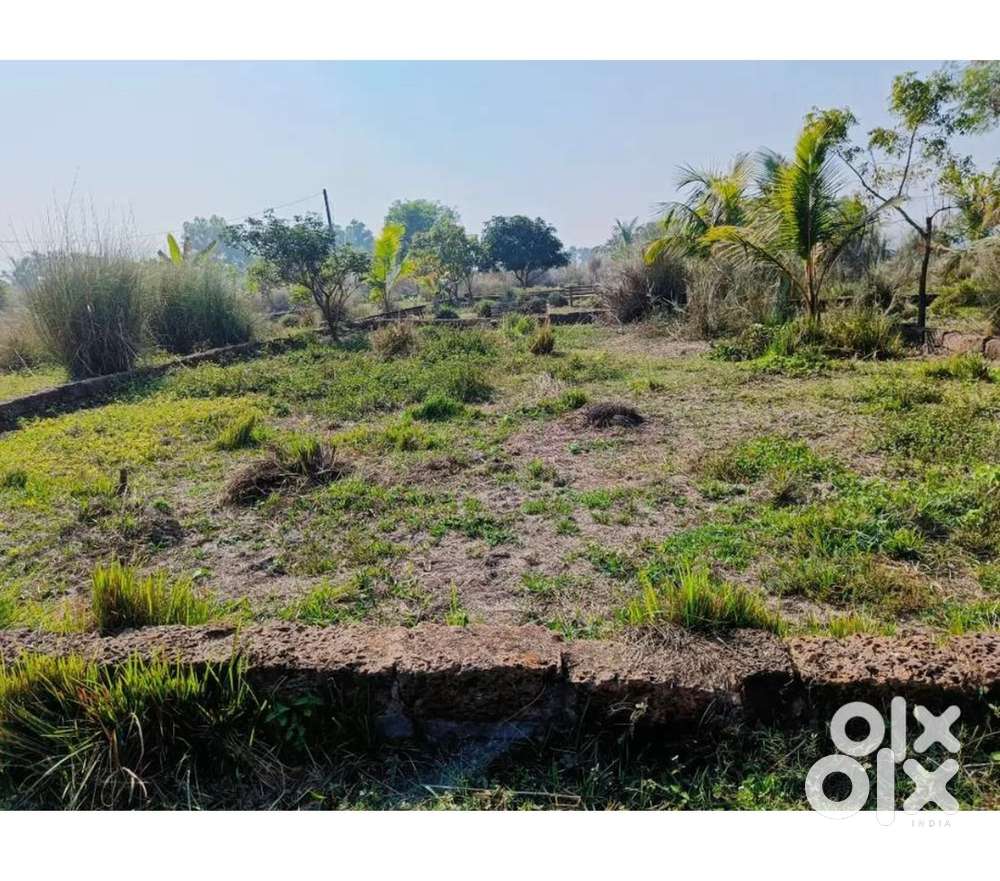 Plot in bhubaneswar for sale