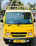 TATA ACE GOLD PETROL