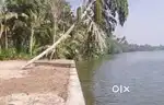 27 cents water front land sale at vyttila