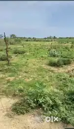 100 Gaz Residential Plots are available near Karenda Bazar