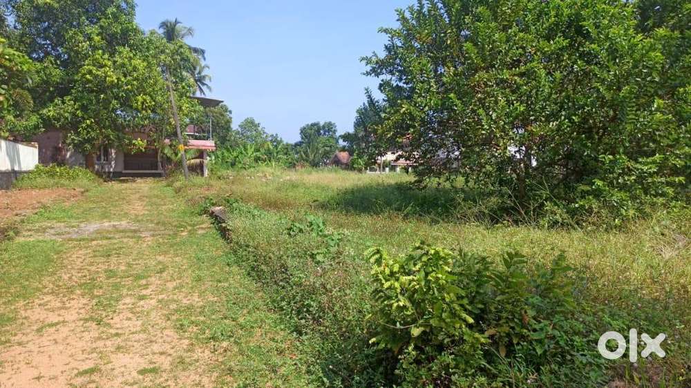 Plot for Sale in Kadapra, Kumbanad – Location Near AG Church!