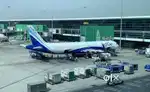 FULL TIME JOB IN INDIGO AIRLINES NEAR BY AIRPORT JOBS FRESHER ARE WE