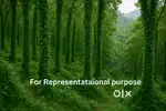 Agricultural land for Sale