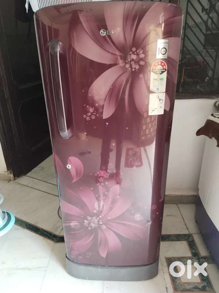 Lg refrigerator