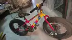 Sports cycle with disc brakes