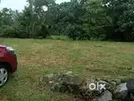 ഇരിഞ്ഞാലക്കുട കടുപ്പാശ്ശേരിൽ 7cent സ്ഥലം വില്പനക്ക്