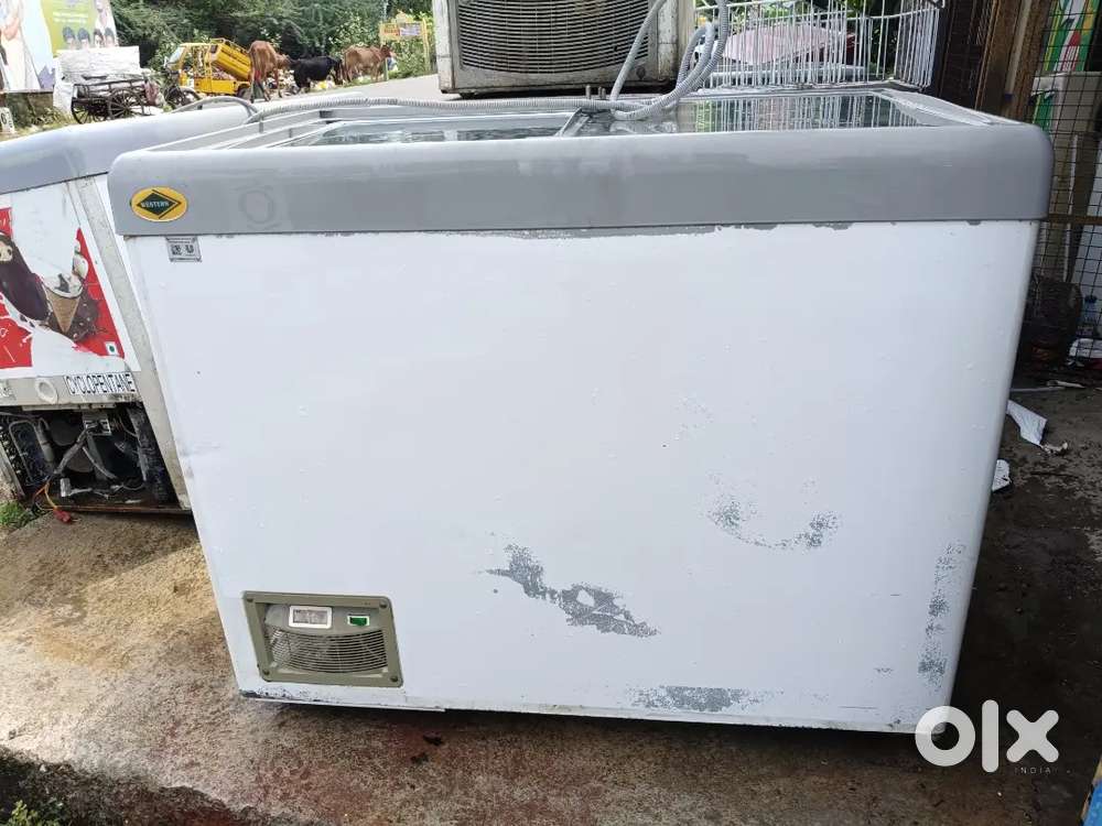 Western deep freezer