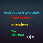 Online business aporcunity 16+