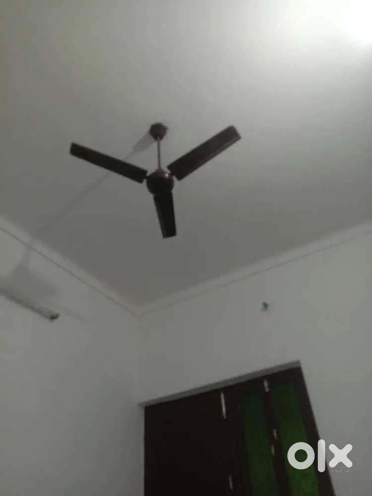 Rent Allow  olny for girls