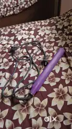 hair straightener(havells)