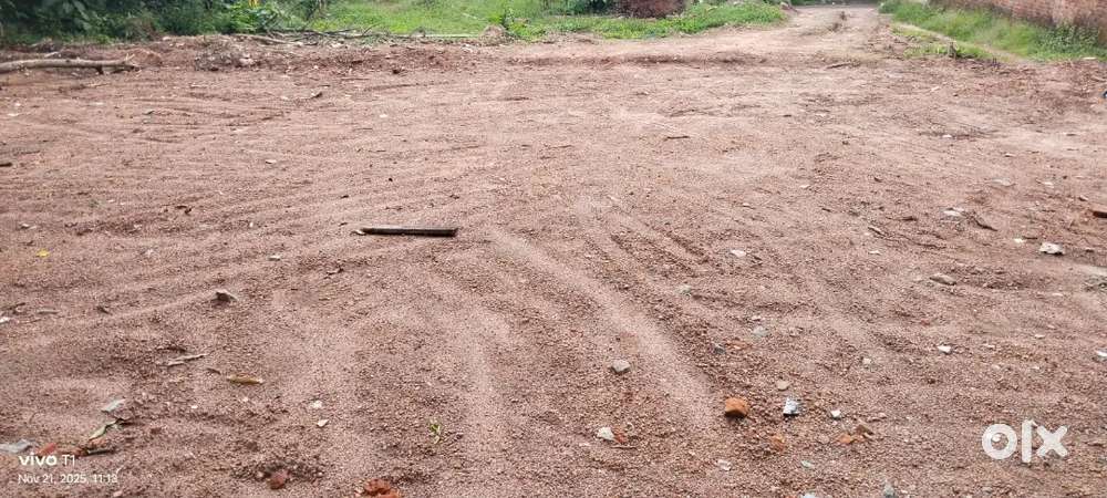 6.5 cent Neyyattinkara Vlangamuri