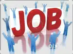 Work from home based online data entry job note this