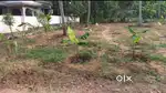 13 cent Plot for sale kundara kollam