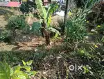 LAND FOR SALE IN KALIMPONG
