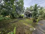 Sale plot and house