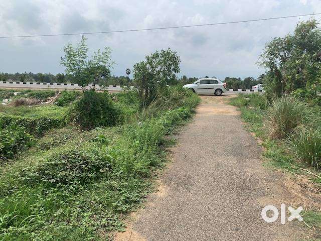 8.1 Cent Polt for sale has KLU