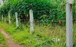 Bungalow plot