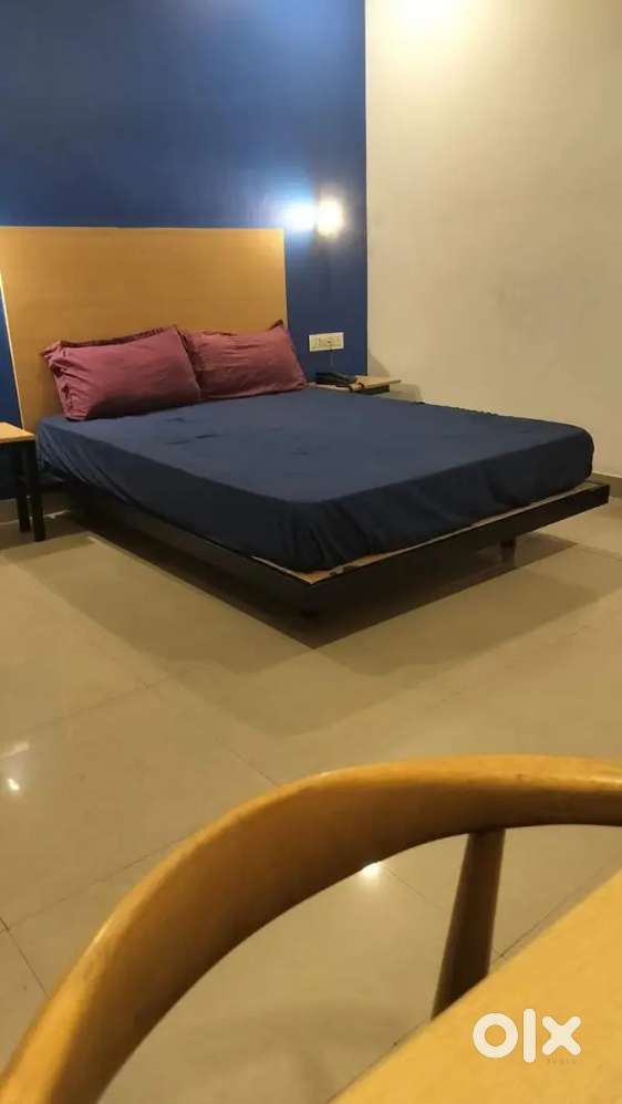 Luxury pg co-living with 3tym food sector 46