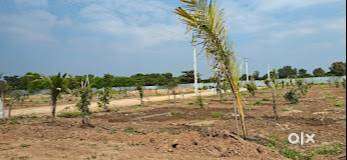 Urgent Pre-Lunch Sale in shamirpet Near Me