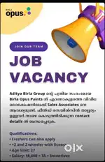 Sales job birla opus paints