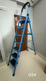 7 Step Ladder (Purchased 3 months back only)