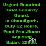 5 Star Hotel Security Guard Job Chandigarh 34