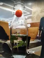 Restaurant Manager