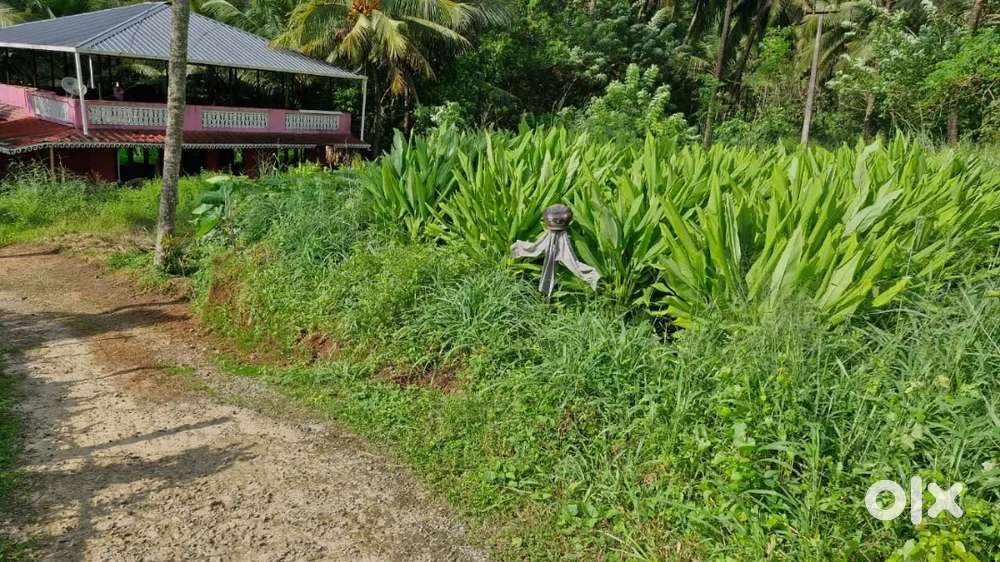 11 Cent house plot facing NH 566 for sale near Vazhukkumpara Thrissur