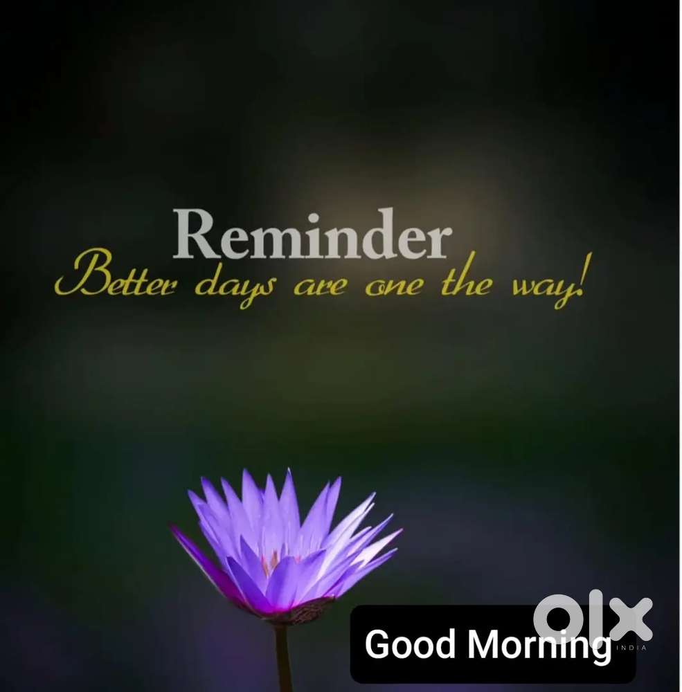 Inventory and office assistant