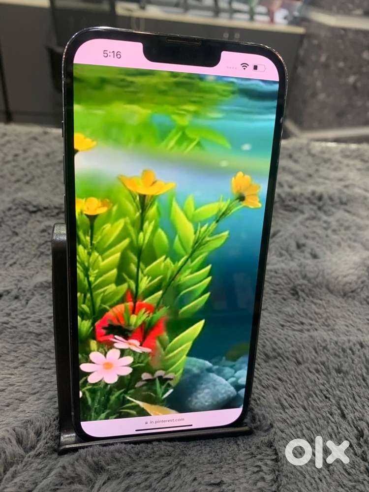 Apple iphone 13 pro max \ 1Tb storage \ 5g model \ working good