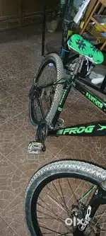 Froge 21 Gear cycle