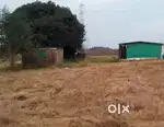 Poultry Farm  goat Farm For Sale.