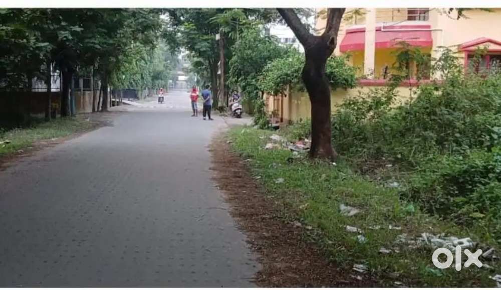 Land for sale in Matigara( siliguri)