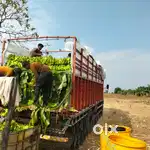 TATA 1815 DCM 12 ton passing 2023 model. Price 4 lakh