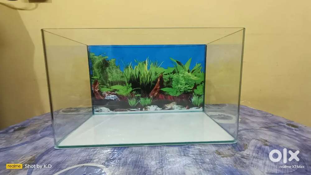 Moulded Aquarium Tank