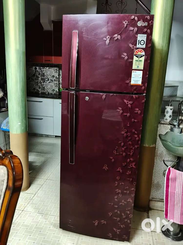 LG 240 L 2 Star Frost Free Double Door Refrigerator