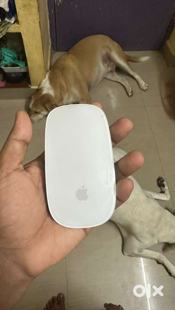 Apple magic mouse 2