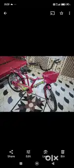 Baby cycle