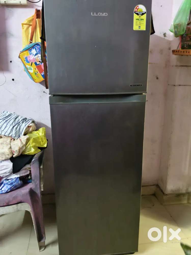 LLoiyd fridge