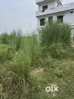 Wonderful Plot Near By All Amenities.