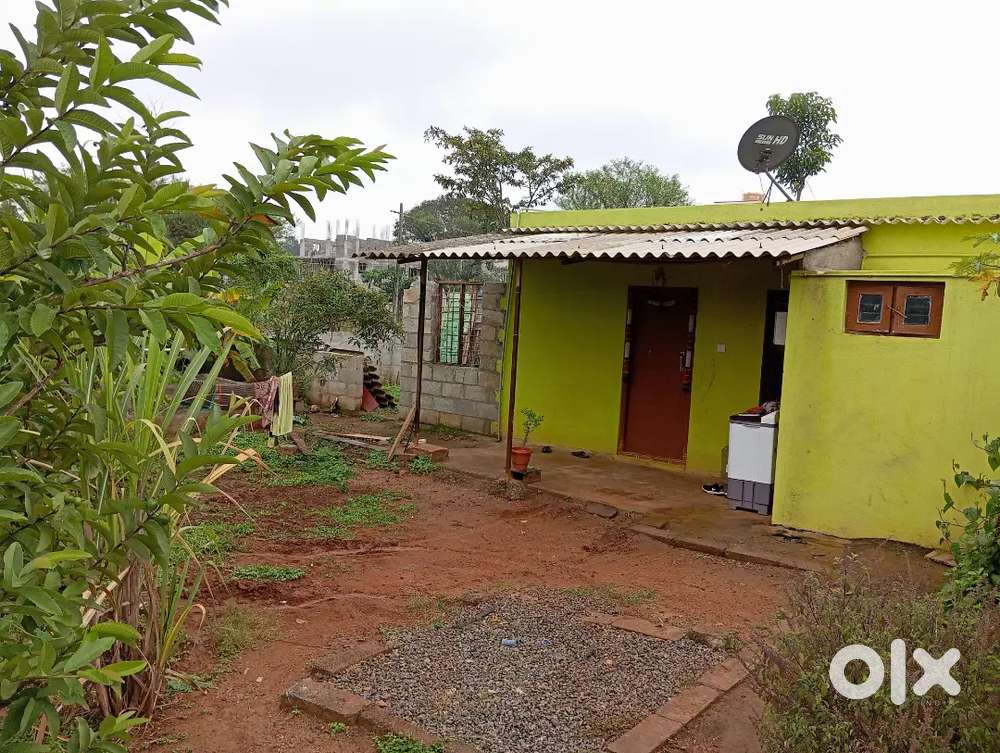 1BHK Sheet House with Gated independent House with all amenities