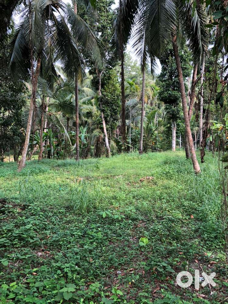 12 cent land for sale