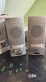 Computer speaker