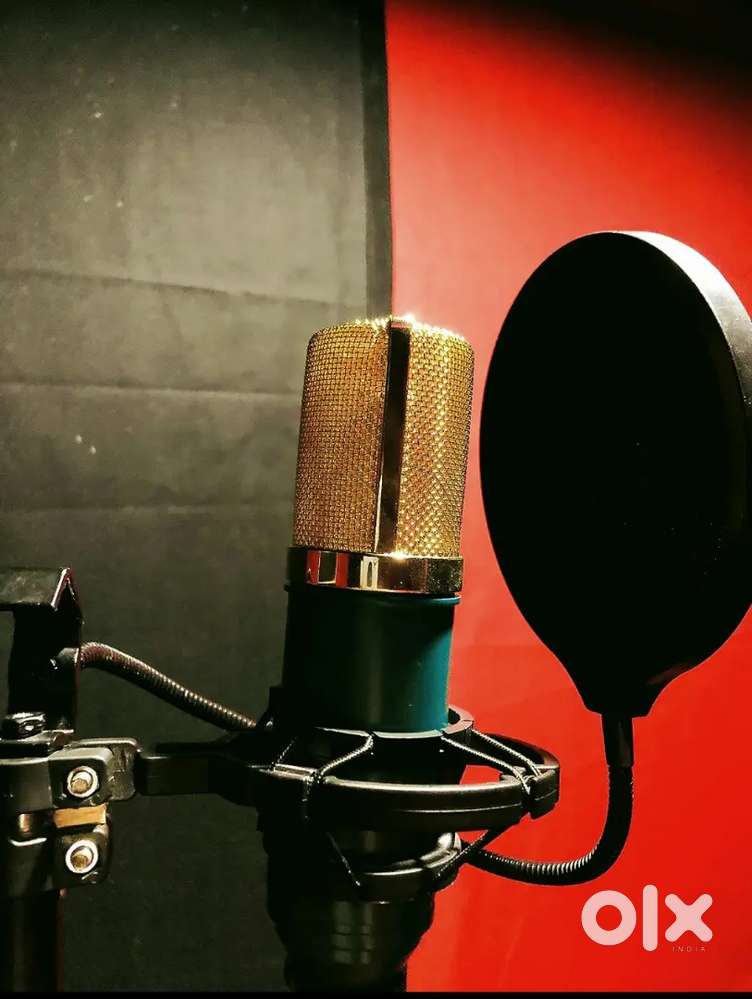 MXL V67Gmicrophone rarely used for studio purposes(brandnew condition)