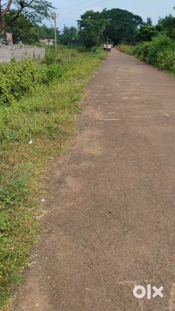 Land for sale(Sukinda Main road side)