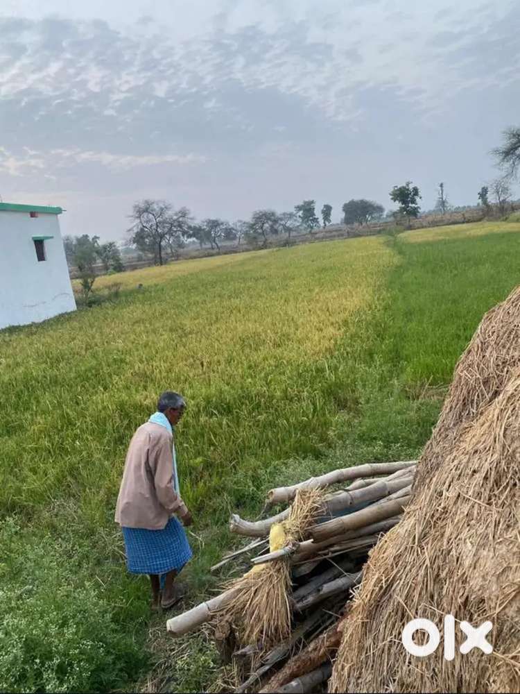 Pathriya road m 45 desmil h