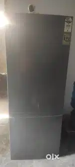 Frizze haier